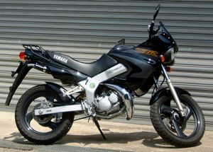 YAMAHA　TDR125(EU)