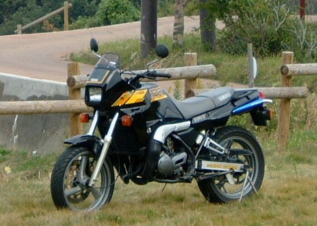 YAMAHA　TDR250